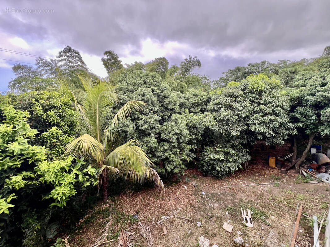 Maison à SAINT-PIERRE