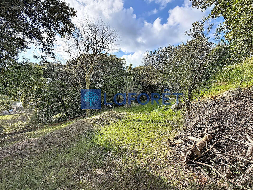 Maison à TRANS-EN-PROVENCE