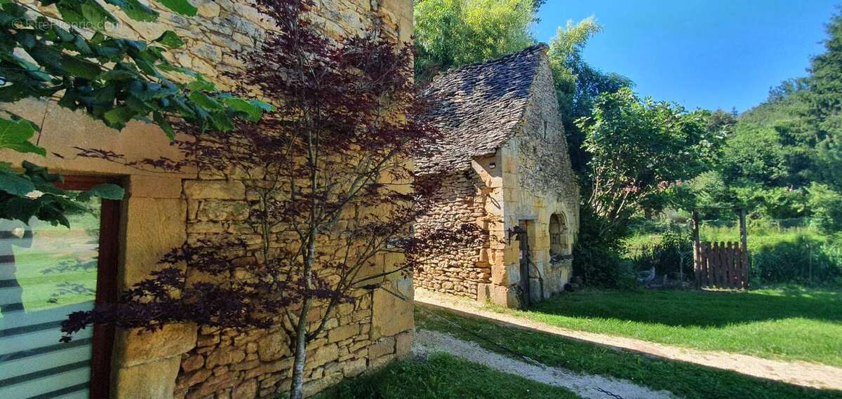 Maison 550 m² à Les Eyzies-De-Tayac-Sireuil  - photo 463