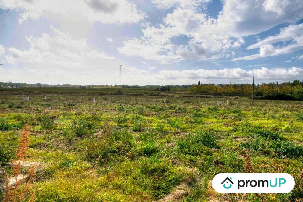 Terrain à VILLESEQUELANDE