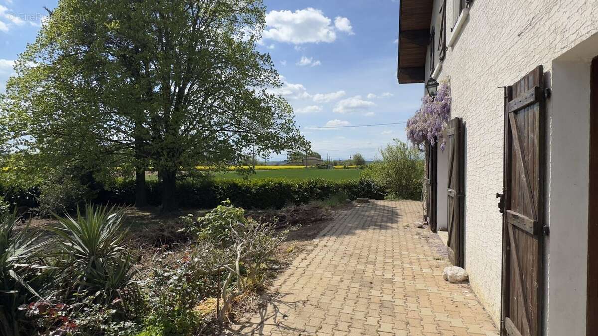 Maison 159 m² à Sardieu  - photo 7