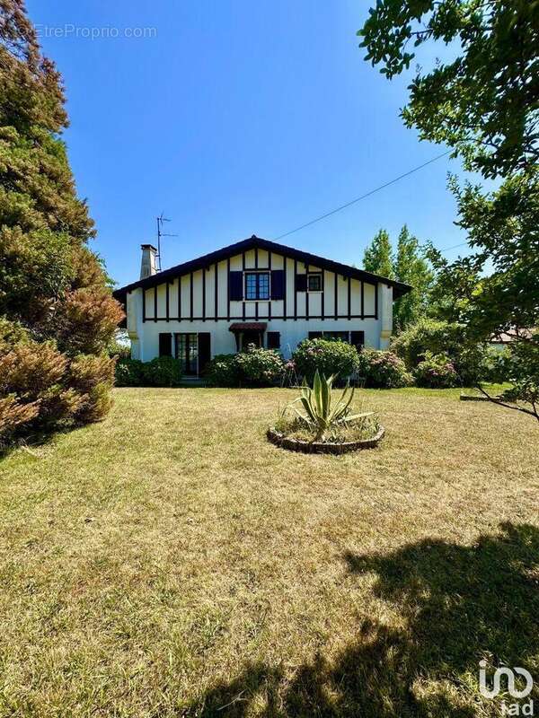 Photo 3 - Maison à URCUIT