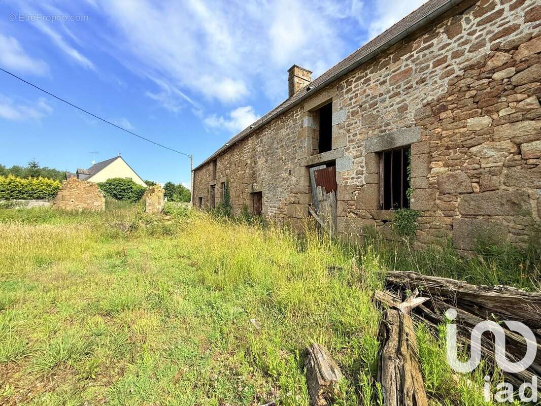 Photo 5 - Maison à SAINT-JAMES