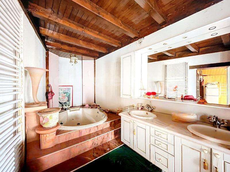 Maison_individuelle_SAINT_ANDRE_DE_BOEGE_5_piéces_beaux_volumes_jardin_terrain_bois_calme_campagne_proche_centre_proche_geneve_suisse_autoroute_douane_salle_de_bains_ - Maison à BOEGE