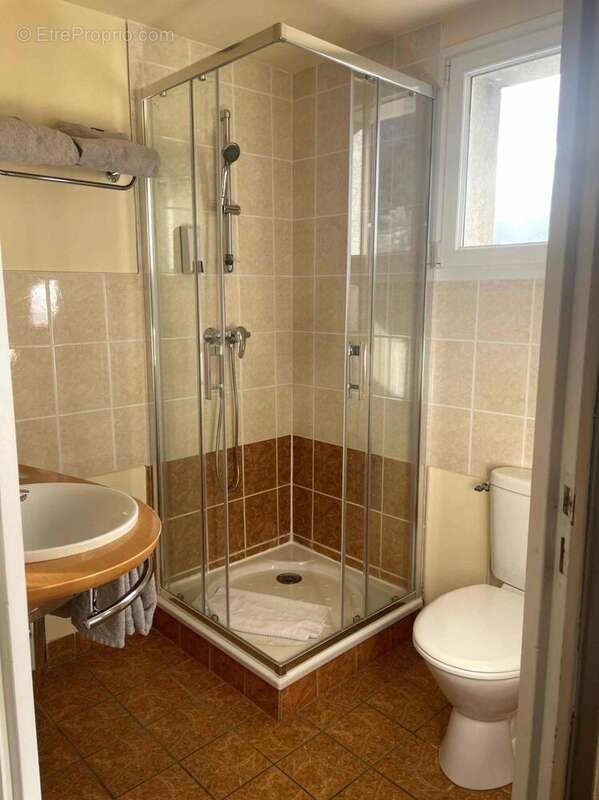 Commerce 548 m² à Le Falgoux  - photo 9