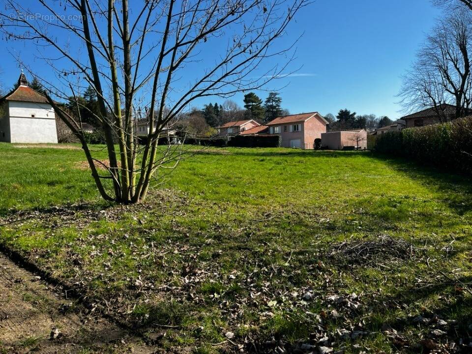 Terrain à PARCIEUX