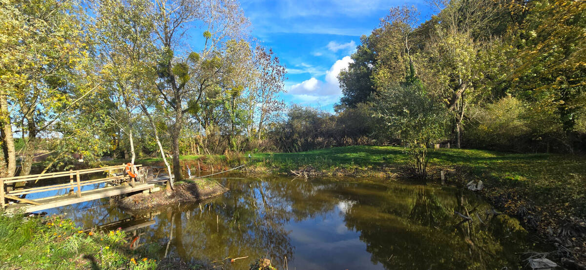 Terrain à MESNIL-SAINT-PERE