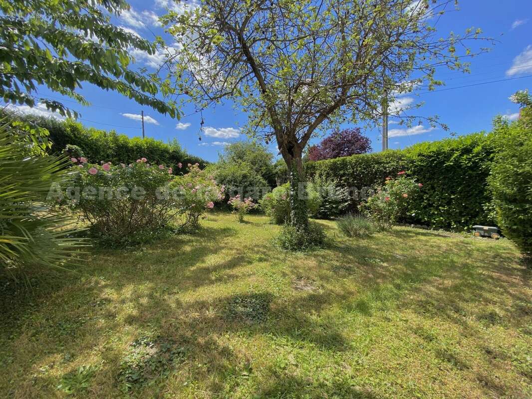 IMG_6167 - Maison à BRUNOY