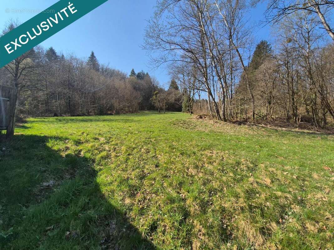 Photo 4 - Maison à ETUEFFONT