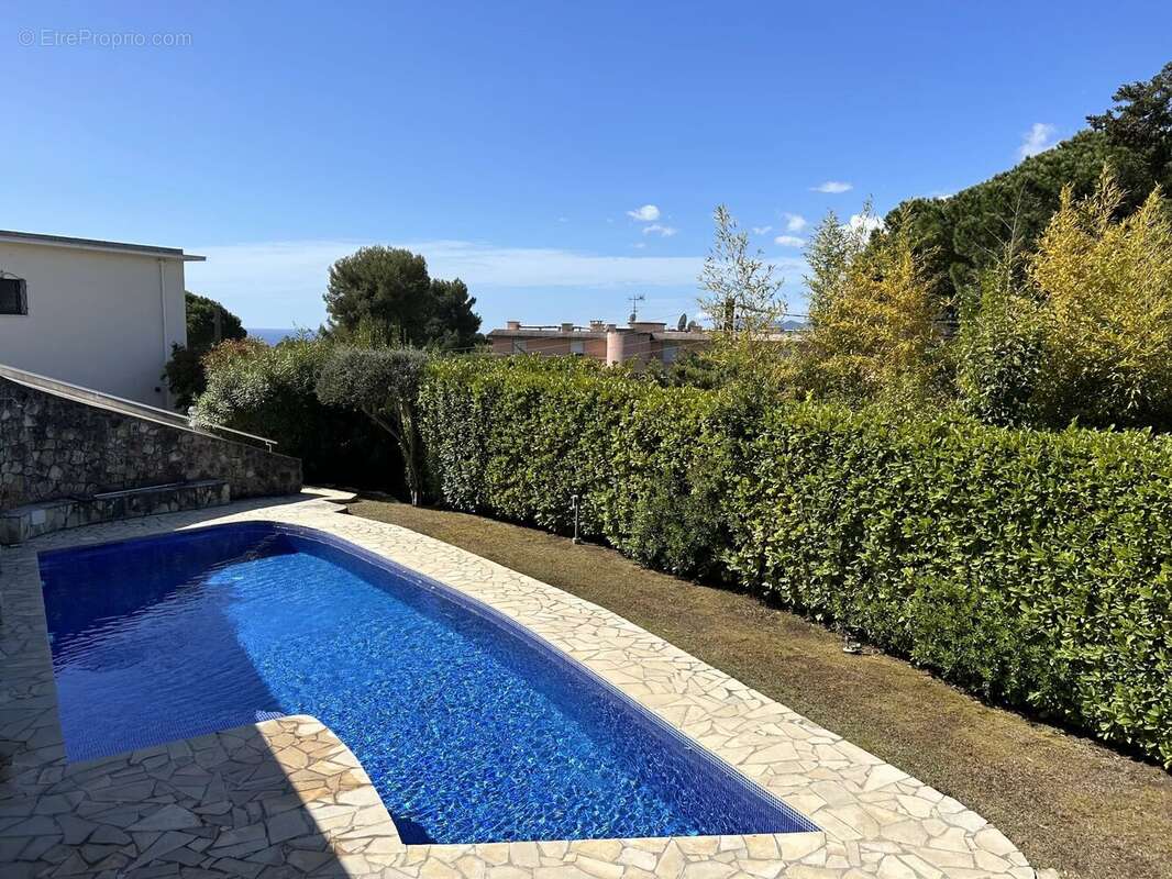Le cannet roi albert - appartement villa - photo 17