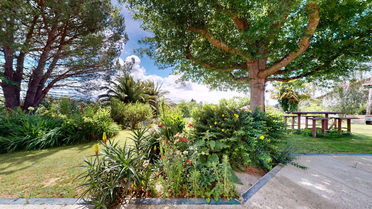 MENDIRA - Maison d'architecte à Arbonne avec vue montagnes - photo 8