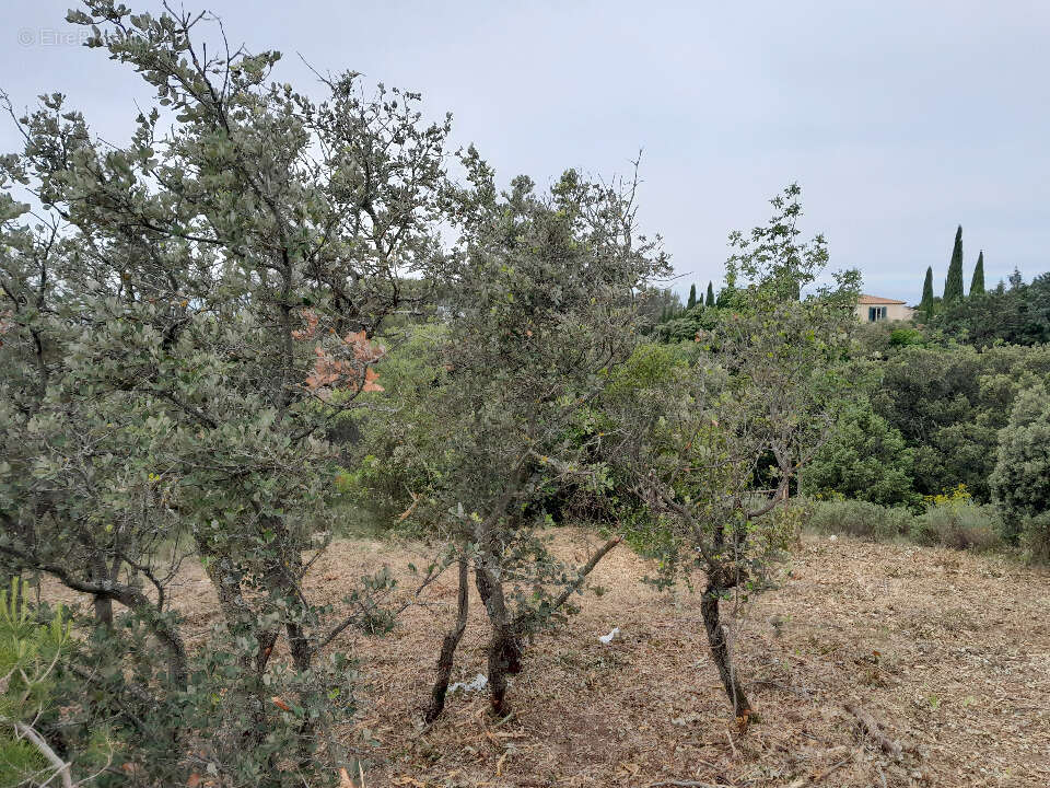 Terrain à VILLENEUVE-LES-AVIGNON
