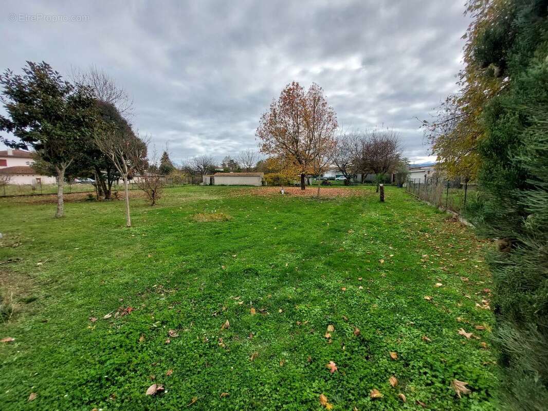 20251119140205 - Terrain à SAINT-MARTORY