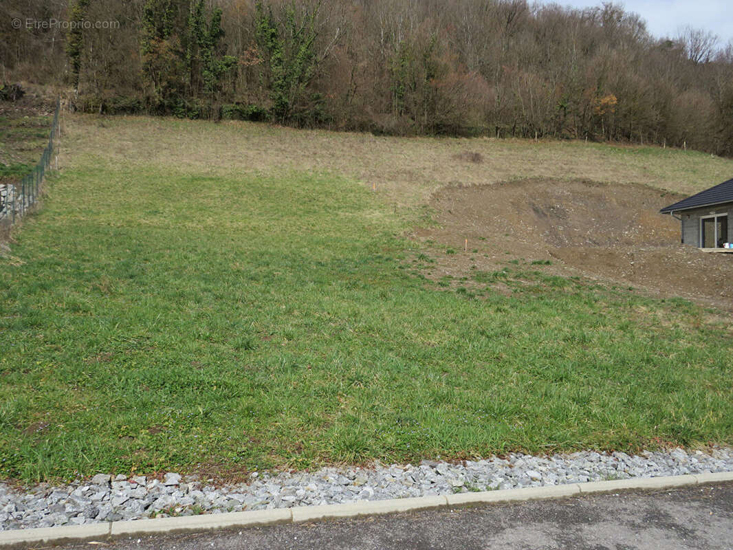 Terrain à LA TRINITE