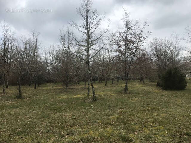 Terrain à CASTELNAU-MONTRATIER