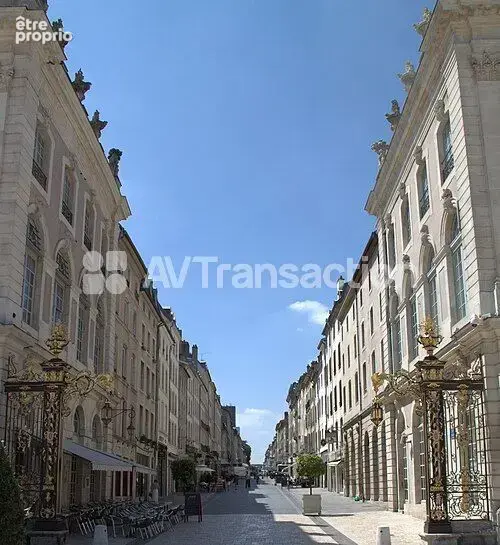 Photo Appartement à Nancy au prix de 770 000€