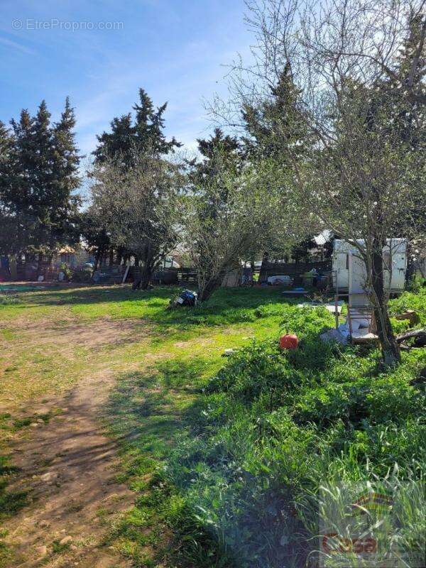 Terrain agricole - photo 2
