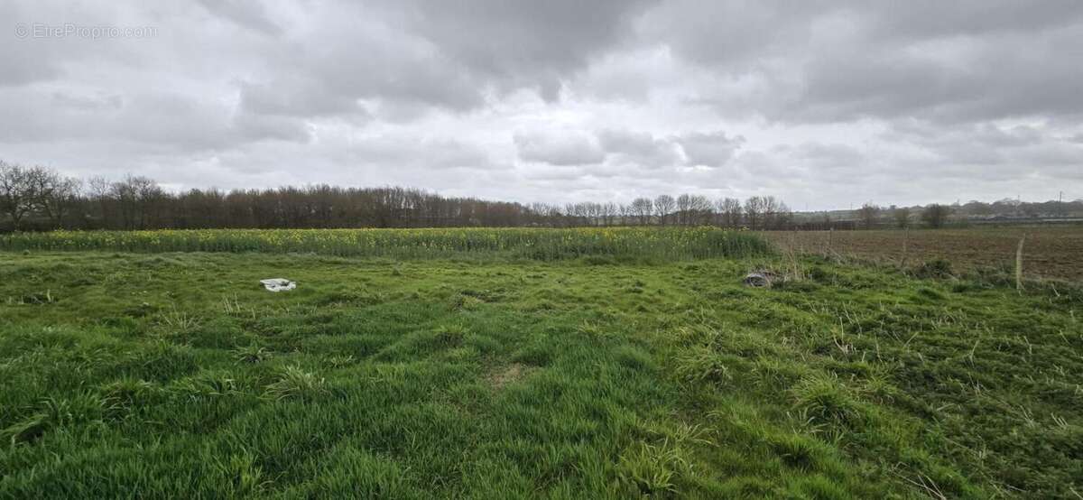 Maison à CHAVAGNES-EN-PAILLERS