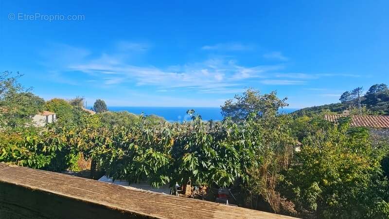 Maison à SARI-SOLENZARA