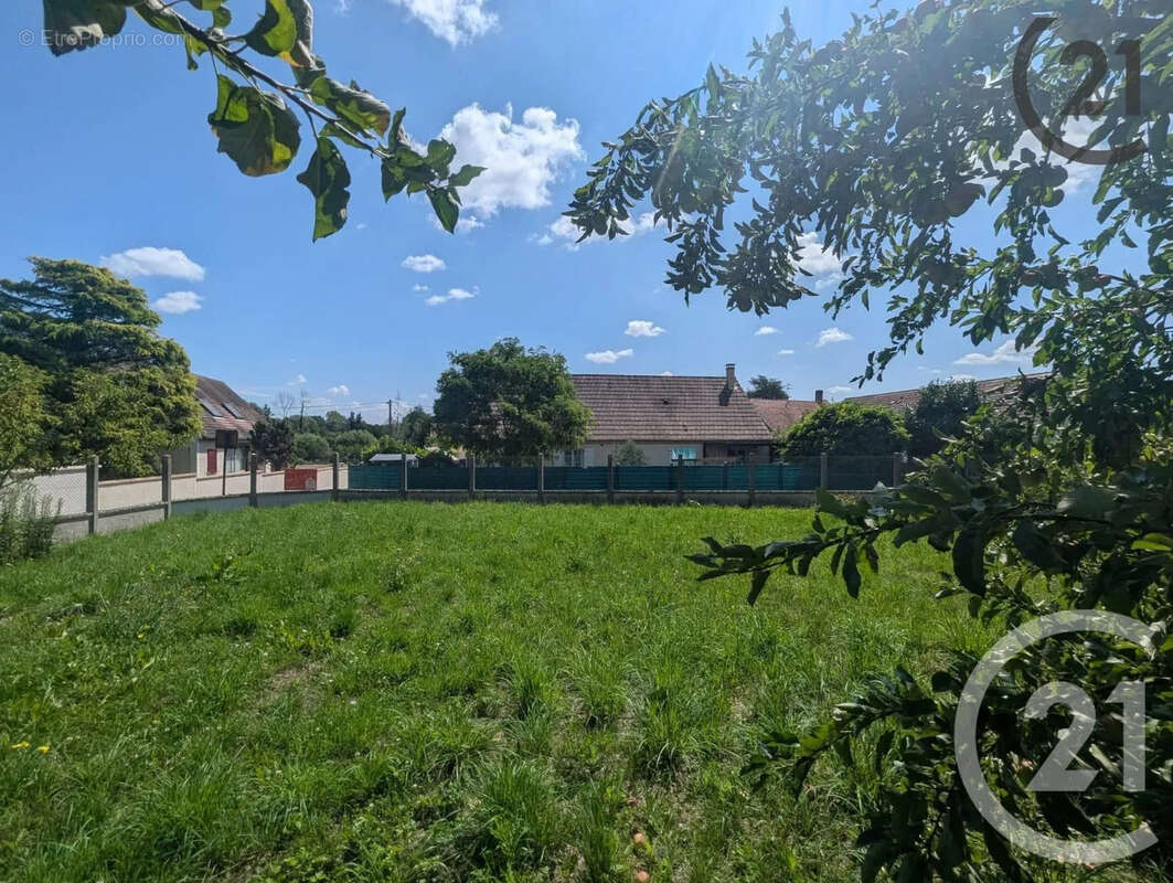 Terrain à JUTIGNY