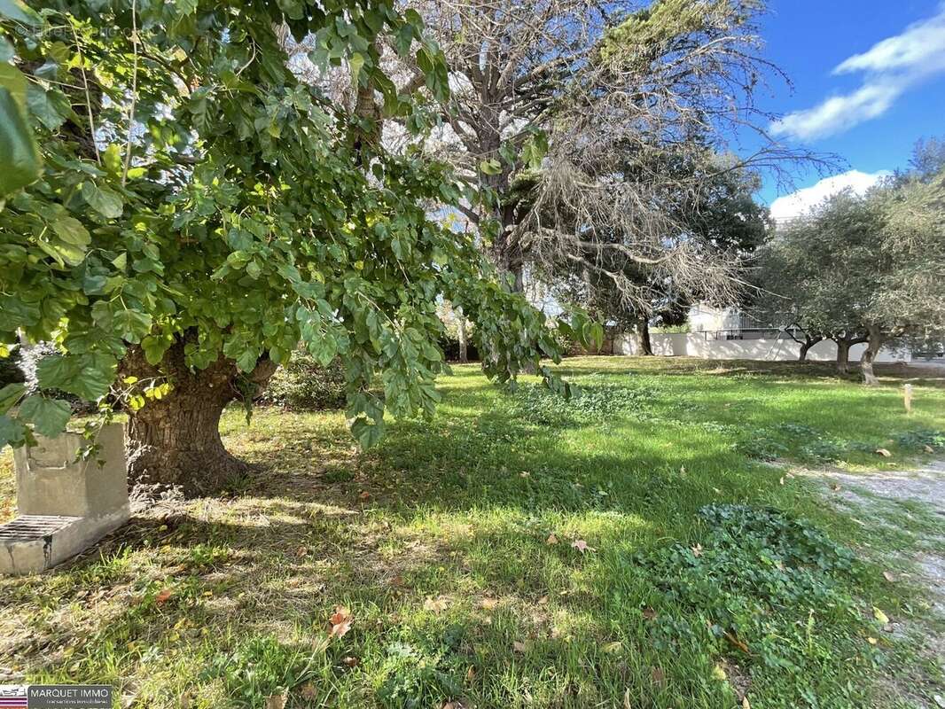 Appartement à BOUJAN-SUR-LIBRON