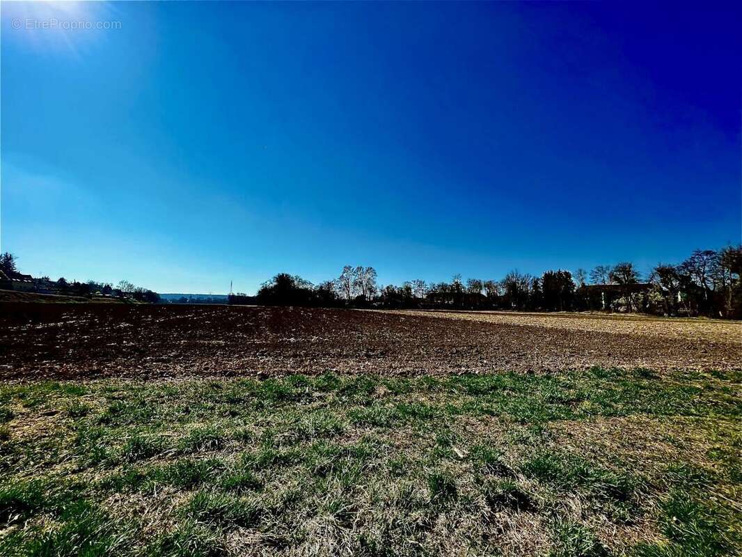 Terrain à ALTKIRCH