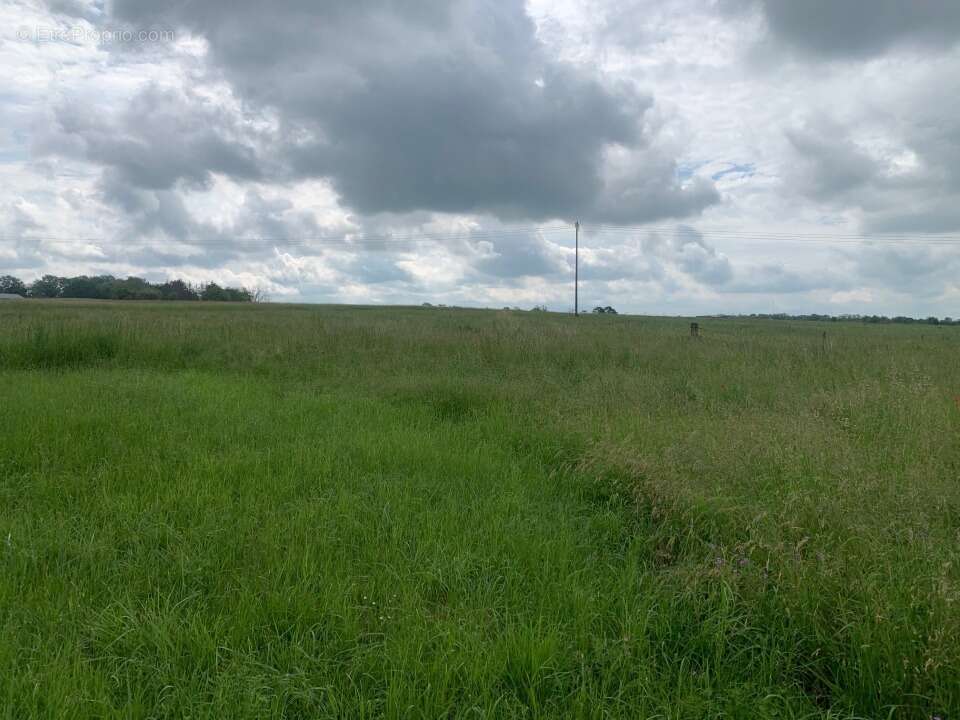 Terrain 459 m² à Distroff  - photo 5