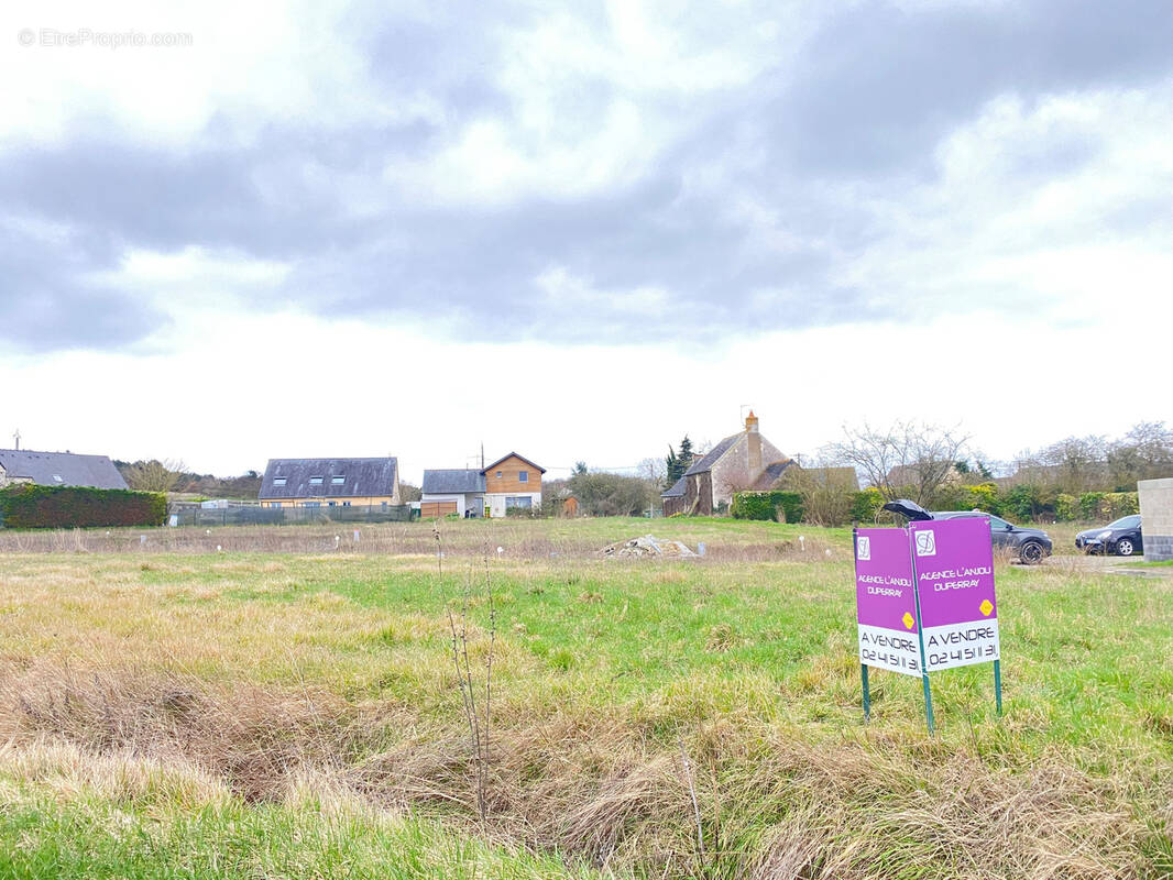 Terrain à BRISSAC-QUINCE