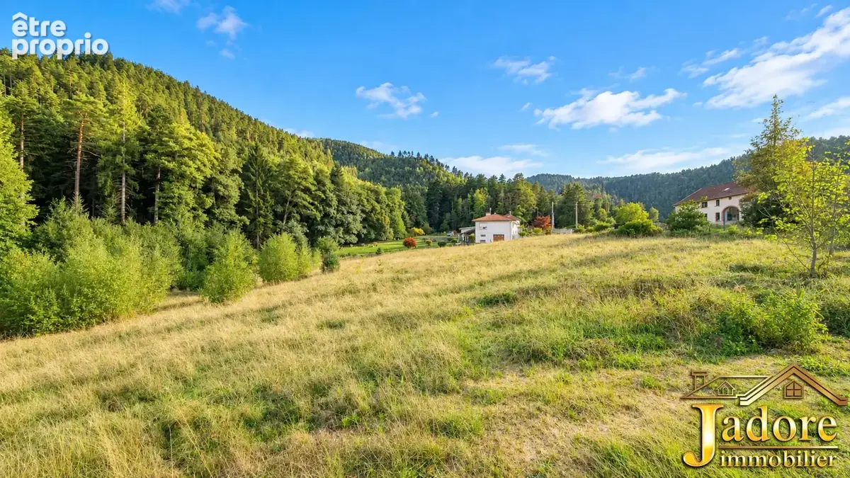 MAISON CADRE NATURE sur 4423 m2 de terrain constructible - photo 3
