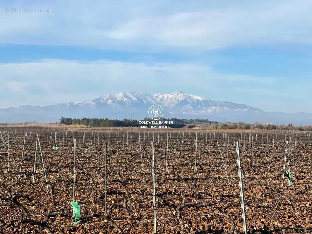 Terrain à POLLESTRES