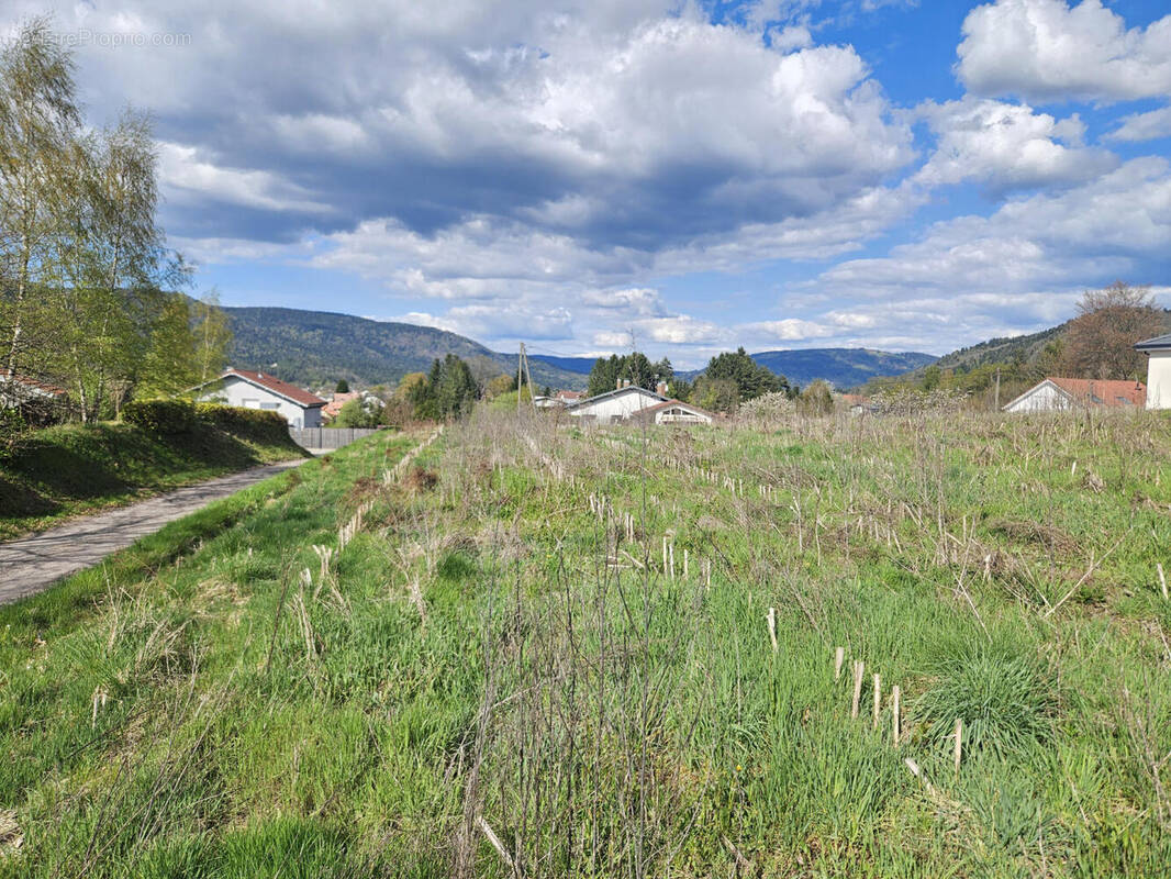 20260417_163106 - Terrain à DOMMARTIN-LES-REMIREMONT