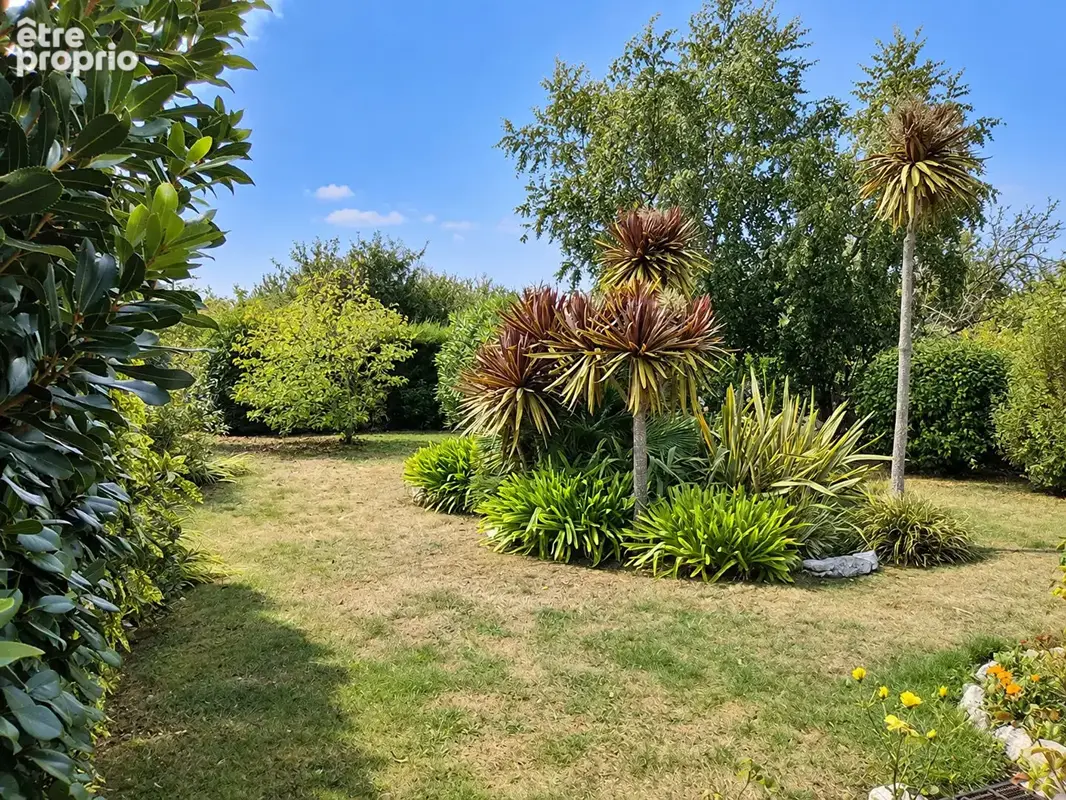 Plozévet - maison 130 m²  - vie de plain-pied - 3 chambres - jardin - aperçu mer - photo 16