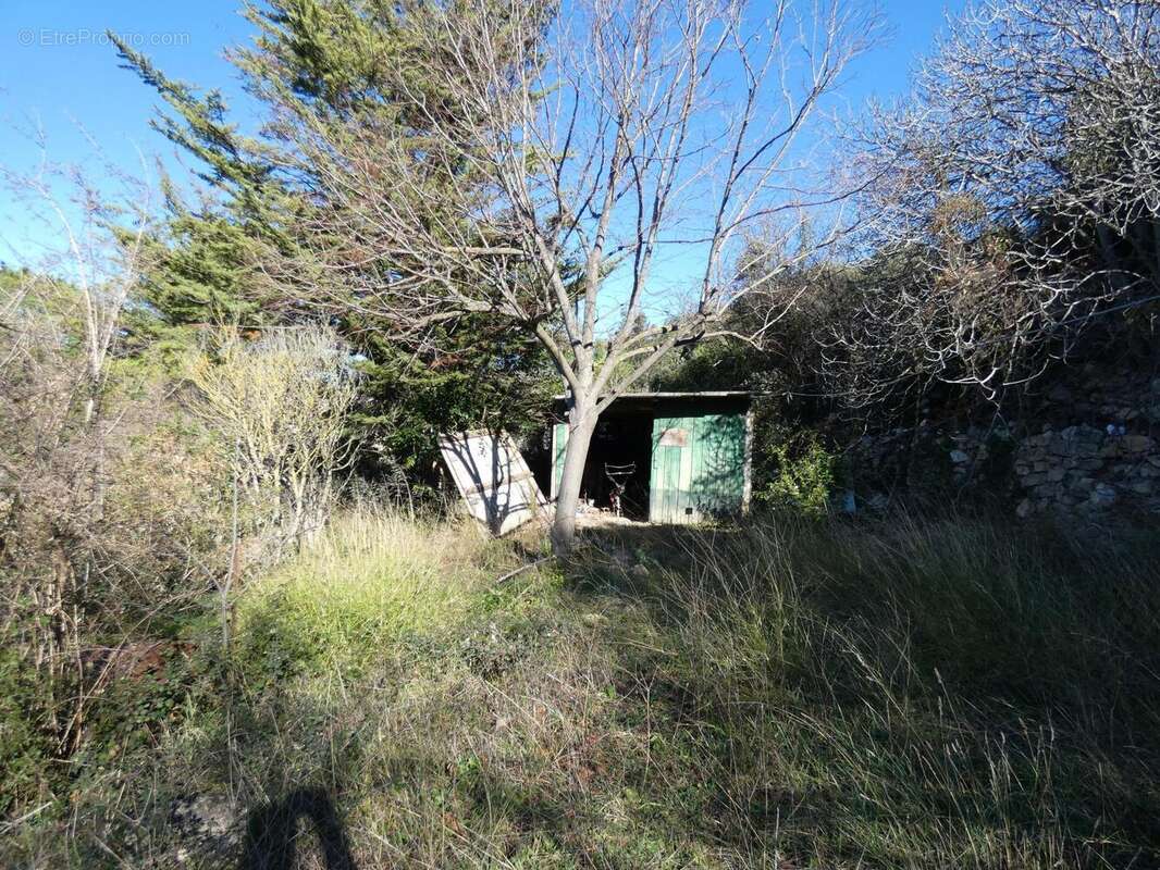 Photo 4 - Terrain à BIZE-MINERVOIS