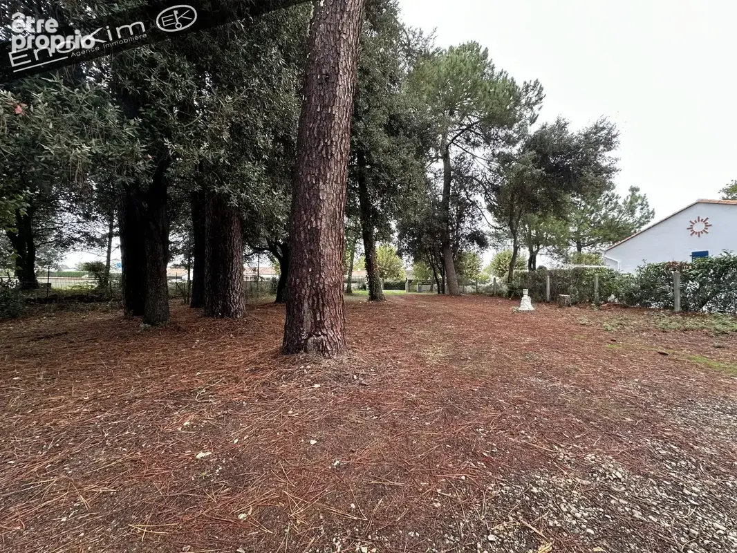 Jard-sur-mer   maison à rénover à jard-sur-mer sur terrain de 1 324 m2 - photo 11