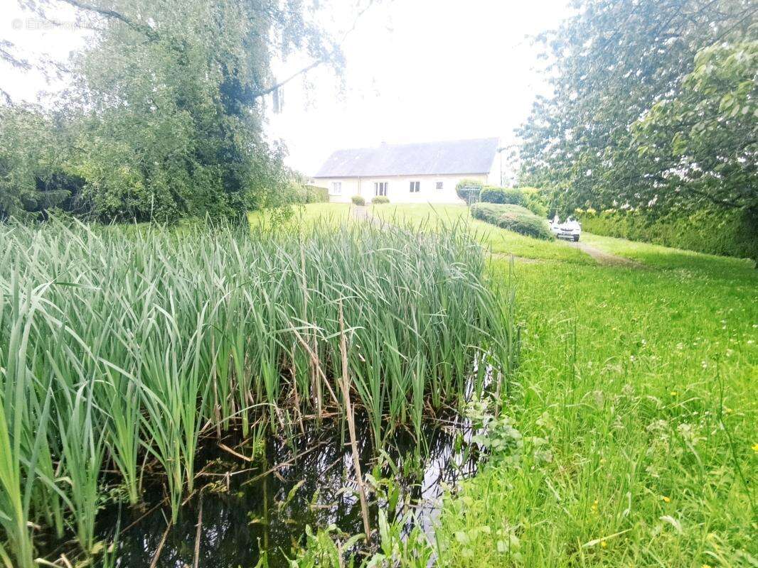 Appartement à LOUE