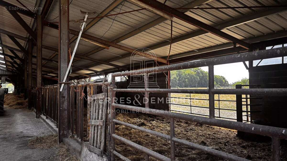 Domaine avec manoir et ses annexes sur 176ha de prairie et bois - photo 18
