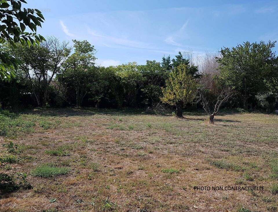 Terrain à SAINT-REMY-DE-PROVENCE