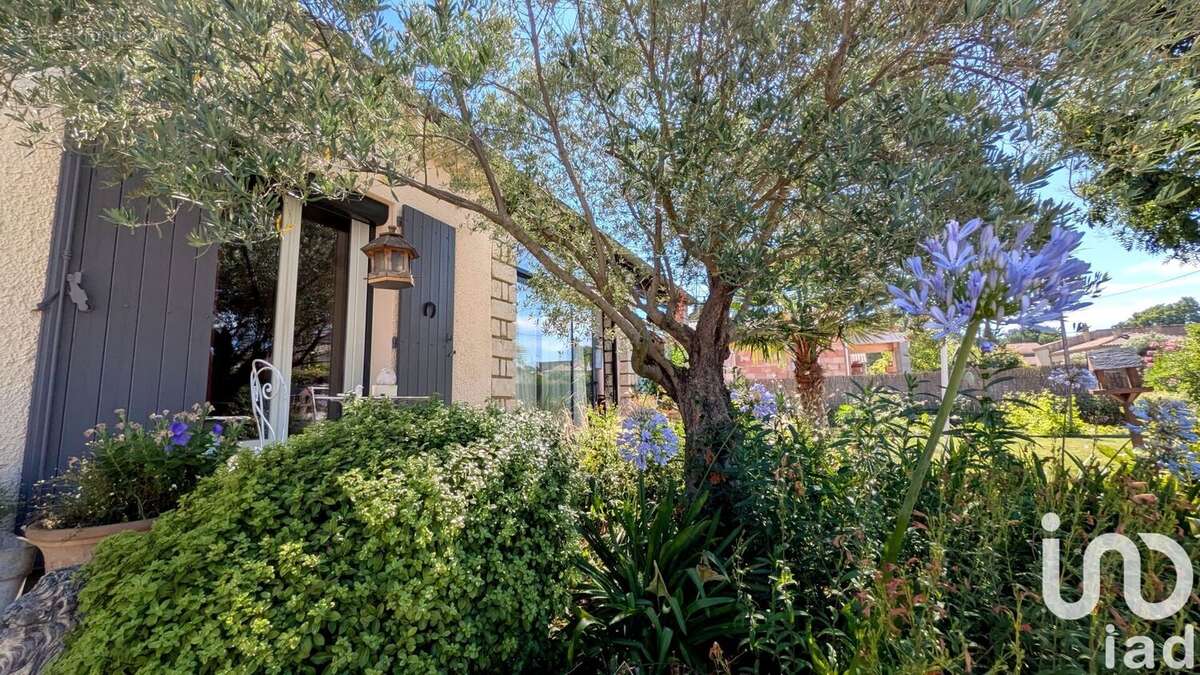 Photo 3 - Maison à MONTELIMAR