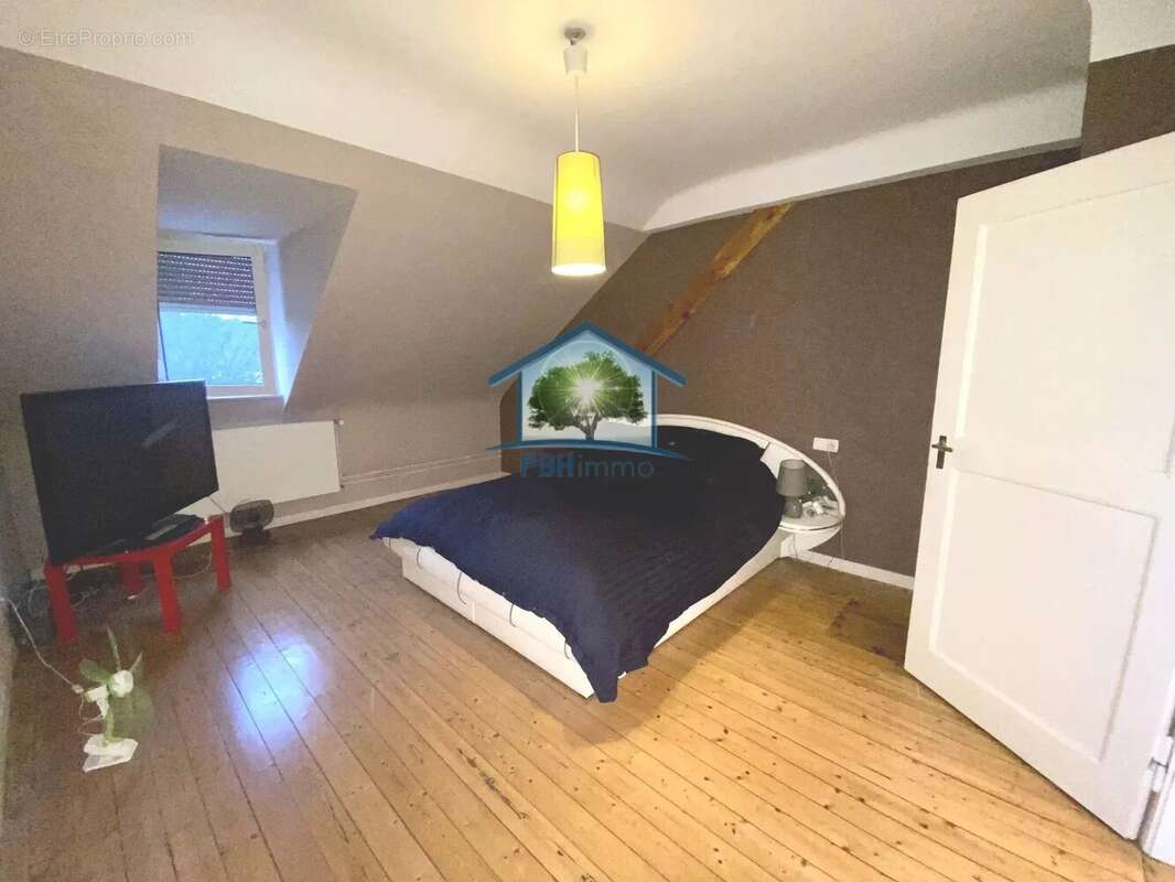 Commerce à SARREGUEMINES