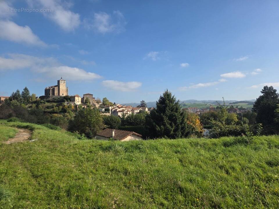Terrain à SAINT-SYMPHORIEN-SUR-COISE