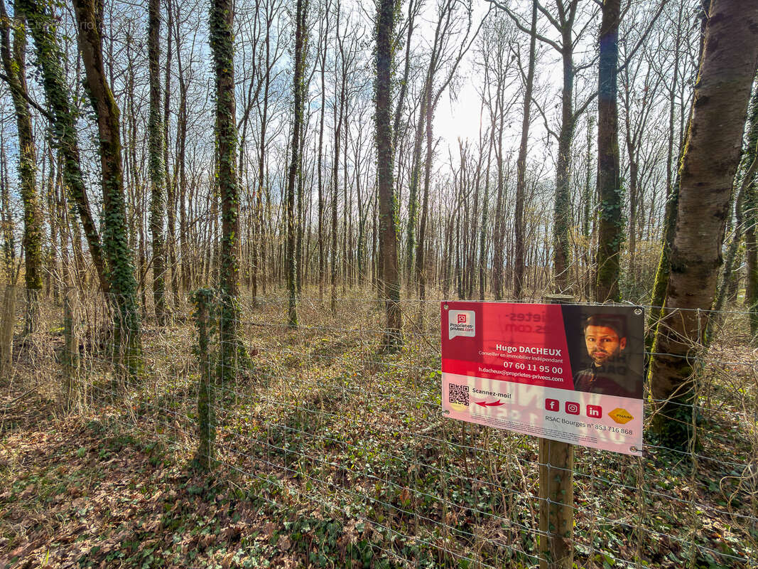 Terrain constructible - 6783 m² - Boisé - - photo 2