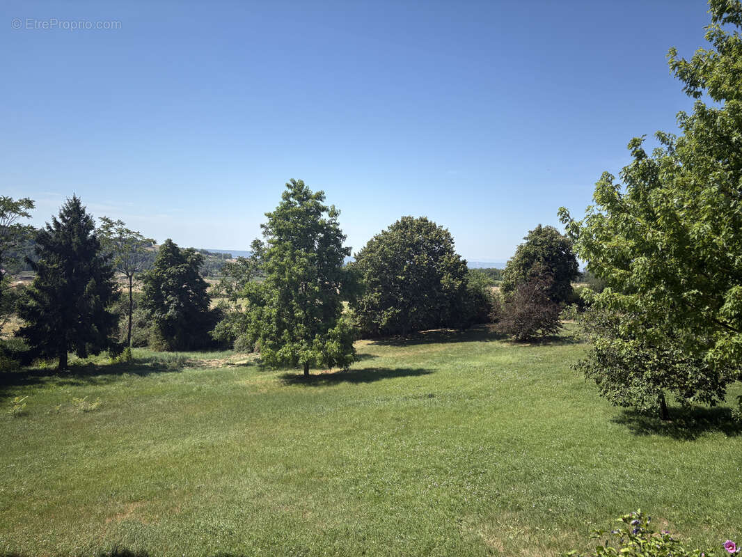 PRIMARETTE belle Bâtisse 280m2 avec terrain attenant de 2 hectares - photo 6