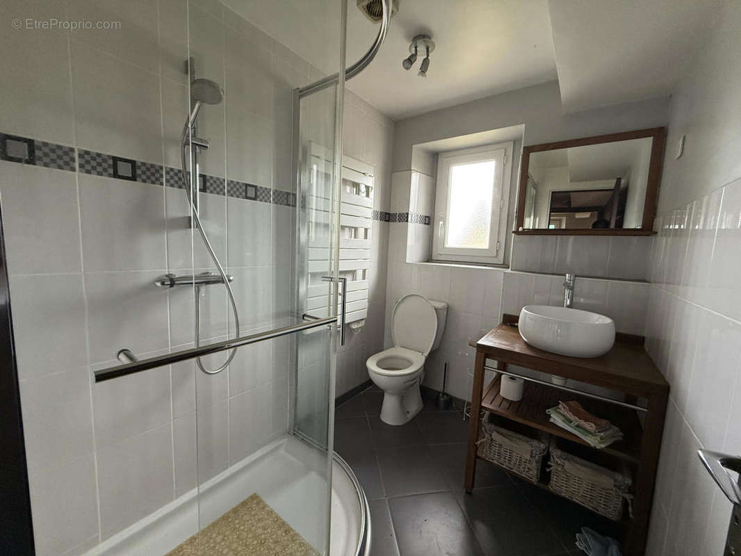 IMG_3568 - Maison à ARAMITS