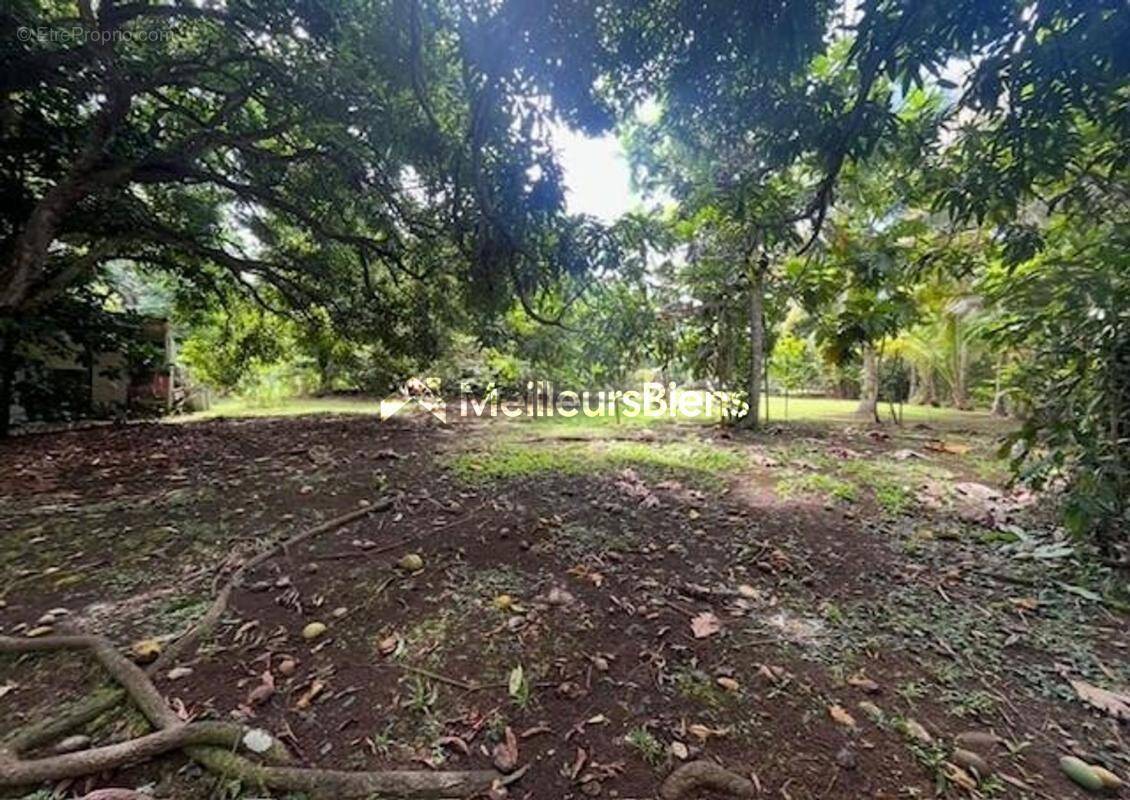 Terrain à BAIE-MAHAULT