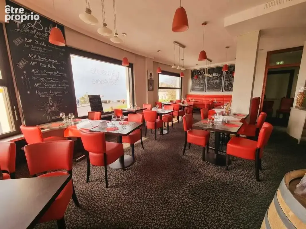 Exclusivité , Unique restaurant du centre de Thonon avec une vue imprenable front Lac  Léman - photo 4