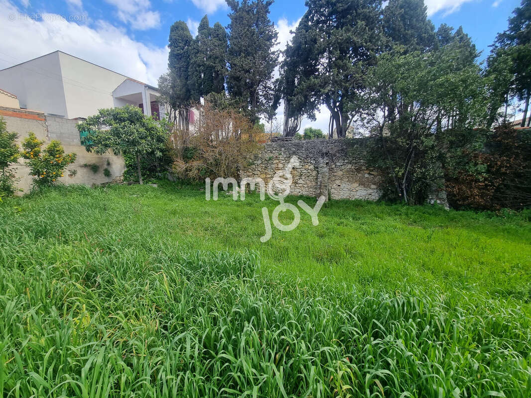 Terrain à OUVEILLAN