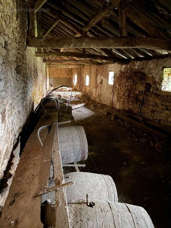 IMG_2195.jpeg - Maison à SAINT-AVIT-SENIEUR