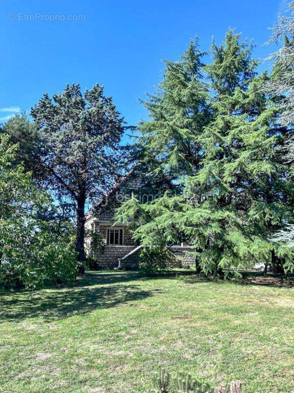 Maison à OUZOUER-SUR-LOIRE