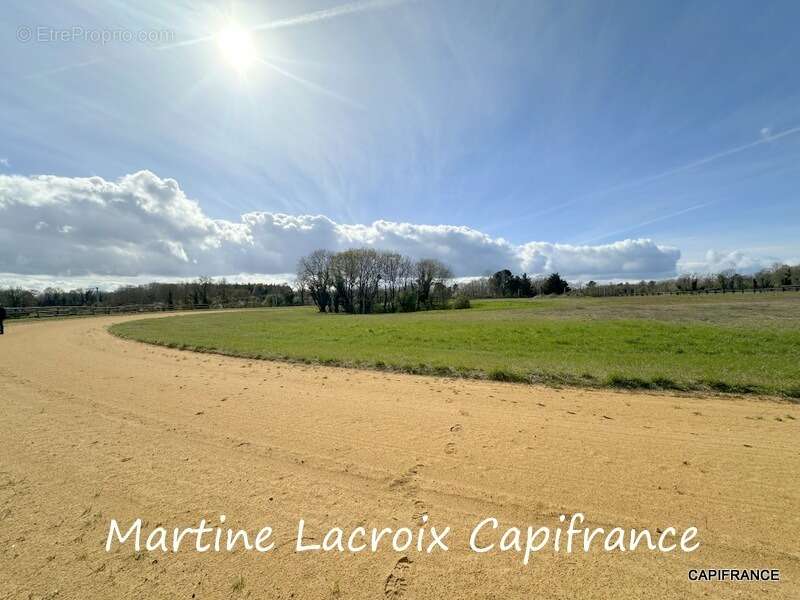 Dpt SARTHE (72), à vendre LA FERTÉ-BERNARD - PROPRIÉTÉ  P5 de 100 m² - Terrain de 10 Ha - photo 18
