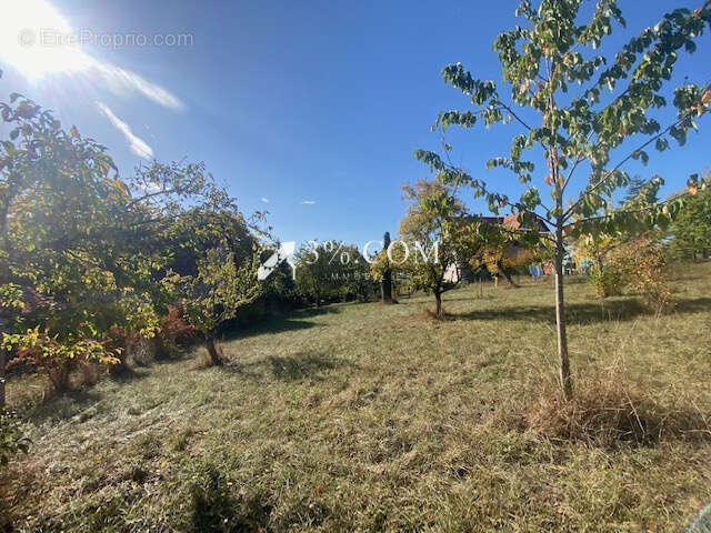 Terrain à DETTWILLER